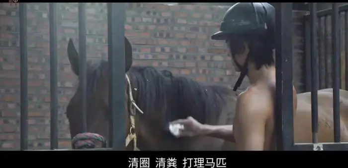 篮球训练师证书图片_1