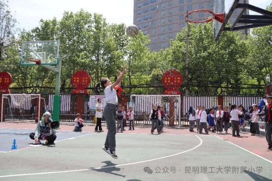篮球训练技术动作视频下载教程_0